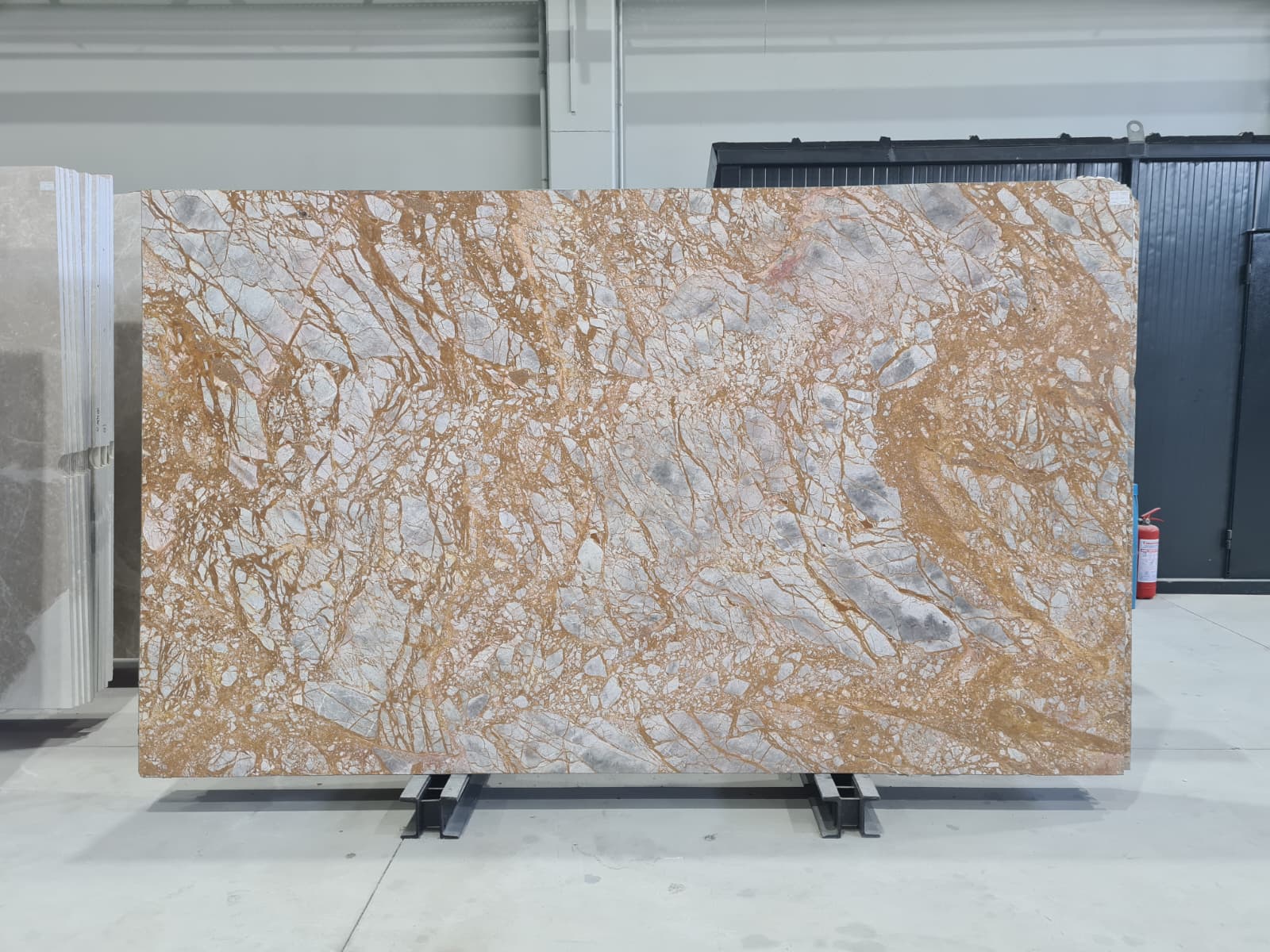 Galapogos Marble