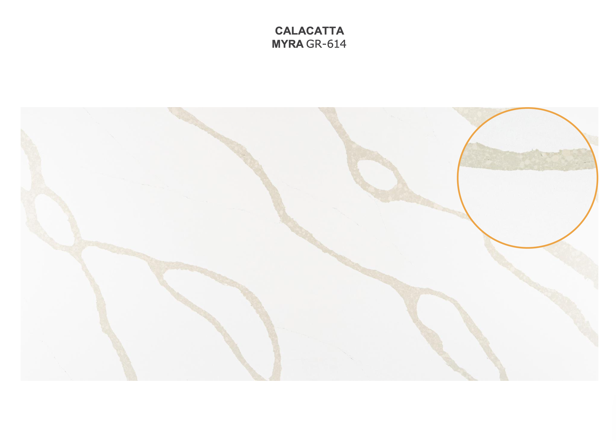 Calacatta Myra GR-614